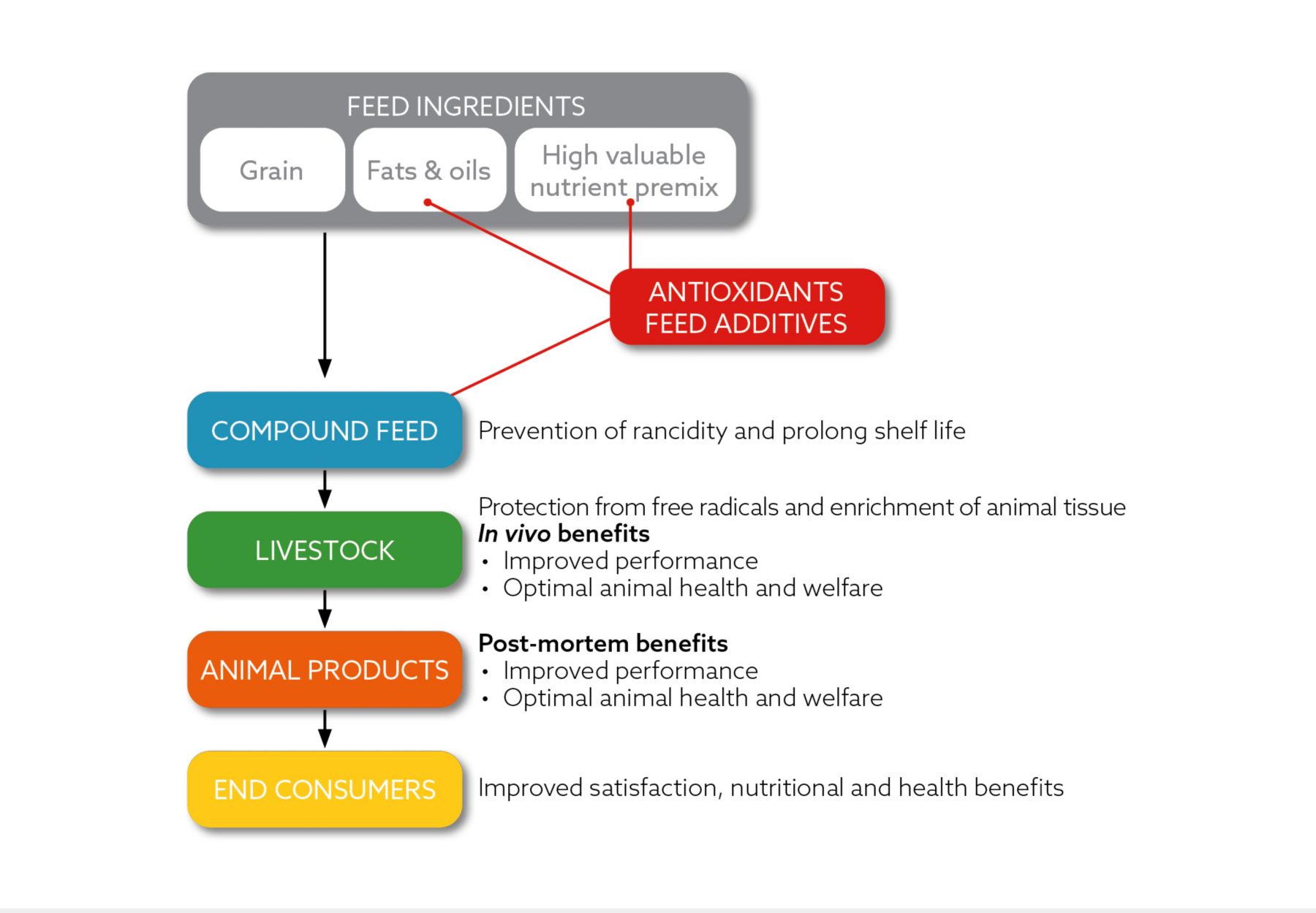 Antioxidant solutions to control oxidation in poultry